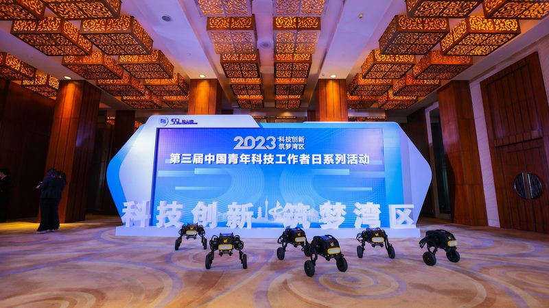 网络安全防护体系如何构建：全方位策略解析